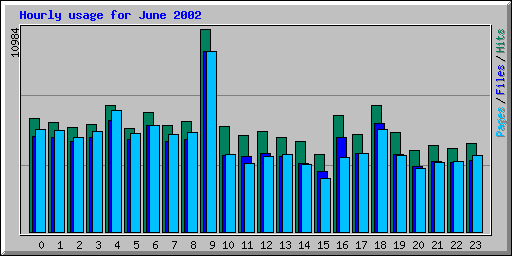 Hourly usage for June 2002