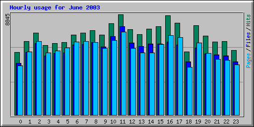 Hourly usage for June 2003